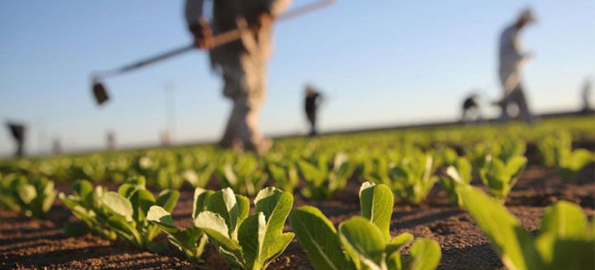 [NAJAVA] Radionice: Potpore za razvoj poljoprivrednih djelatnosti u 2018.